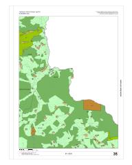 35. list grafike OPN